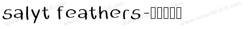 salyt feathers字体转换